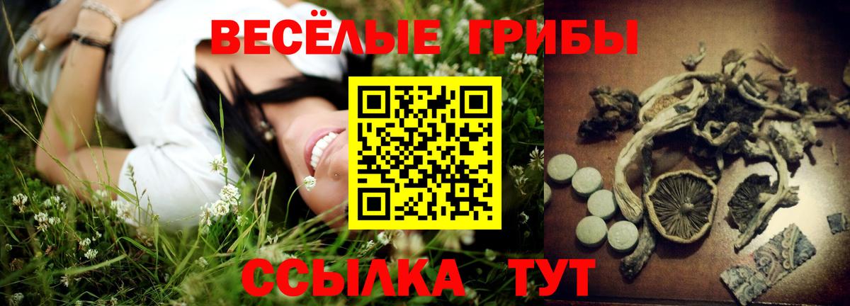 Галлюциногенные грибы ЛСД Гудермес