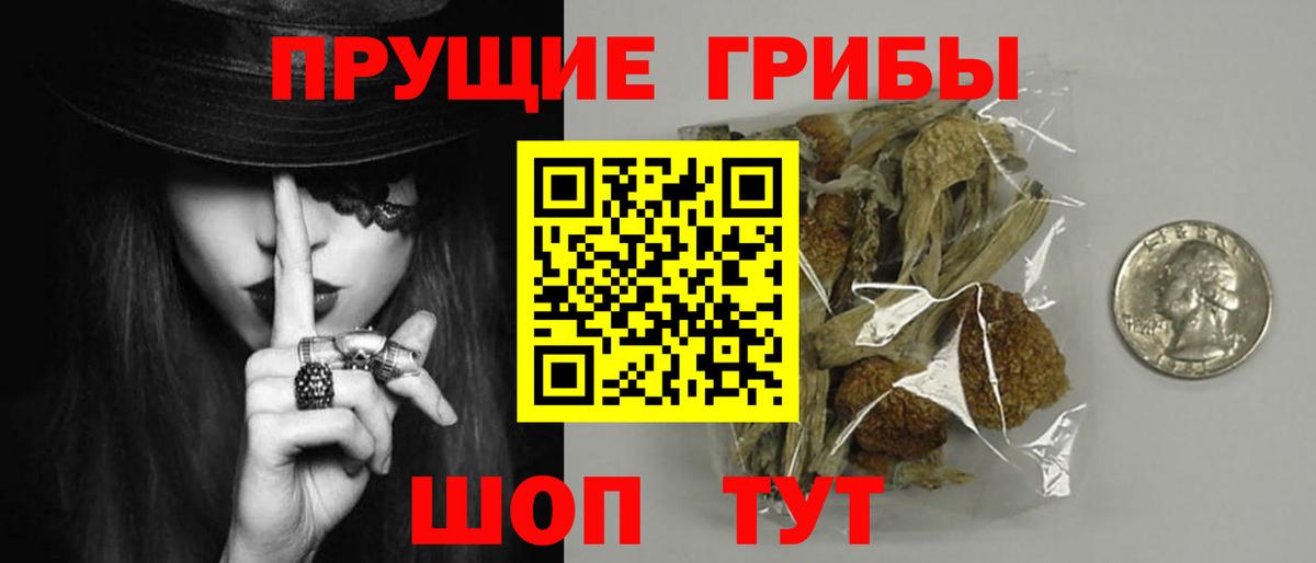 Галлюциногенные грибы Cubensis  Вход с VPN  Гудермес 