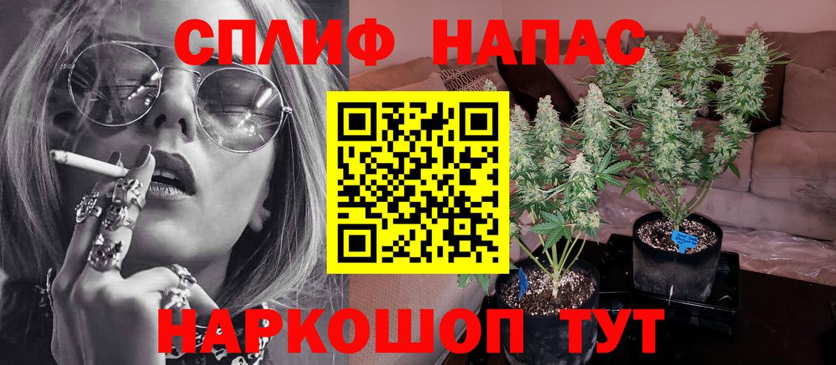 Бошки Шишки Bruce Banner Гудермес